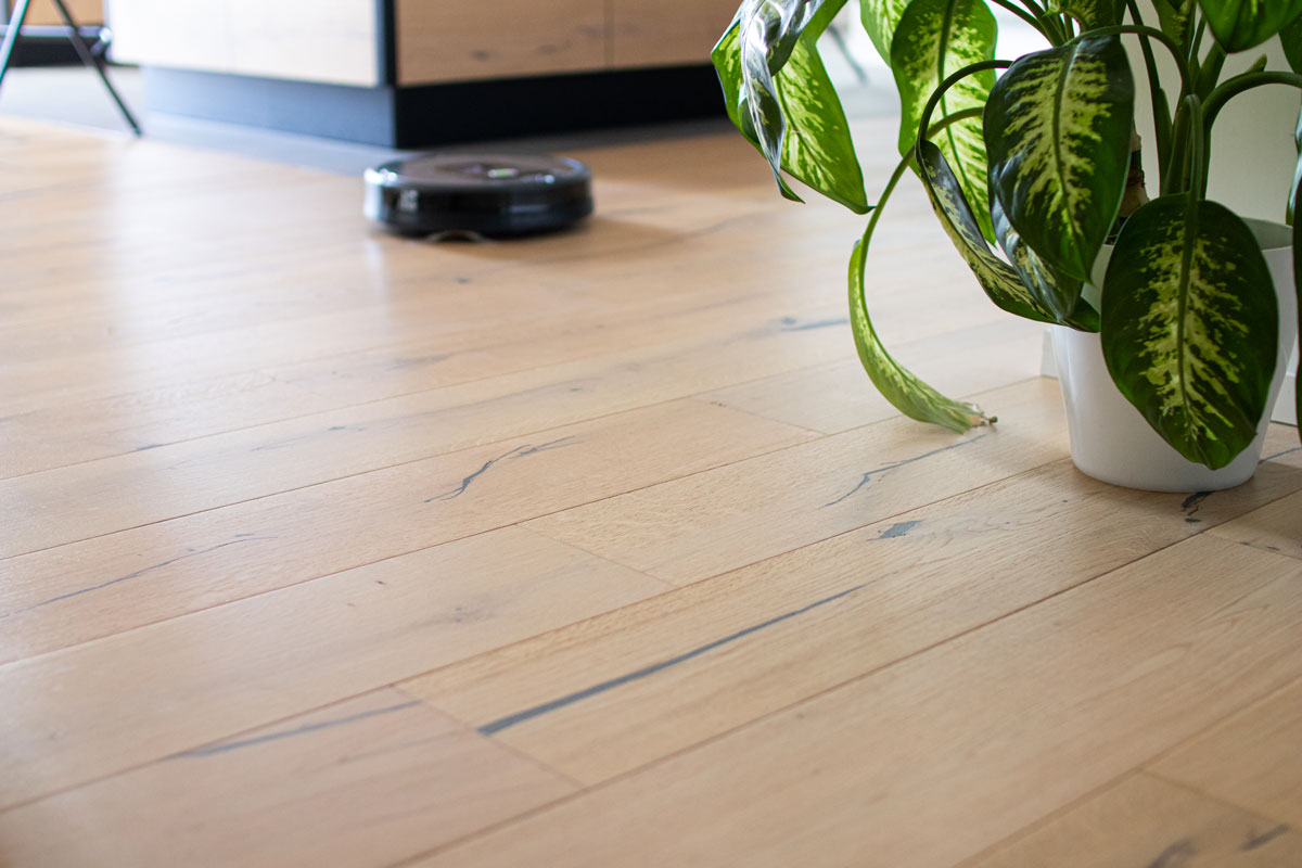 soggiorno con parquet spazzolato, vaso con pianta verde.