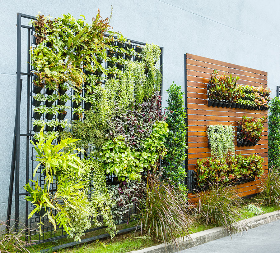 Un giardino verticale per una casa green e originale 20 ispirazioni