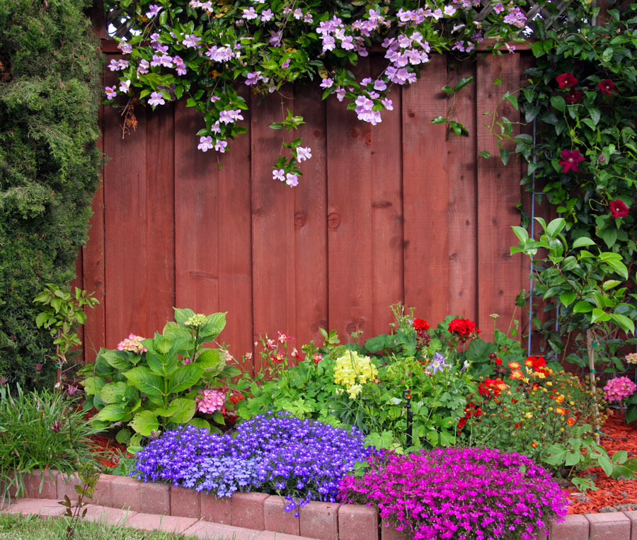 15 Aiuole Di Fiori Per Un Angolo Di Paradiso In Giardino Lasciatevi Incantare