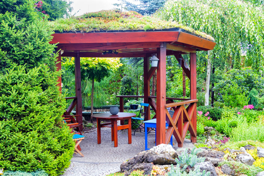 Gazebo di legno da giardino con vegetazione sul tetto.