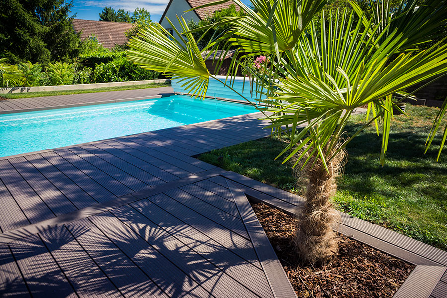 Piscina in giardino con pavimentazione in legno e palma.