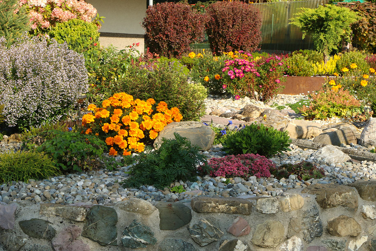 Realizzare un giardino roccioso preventivi