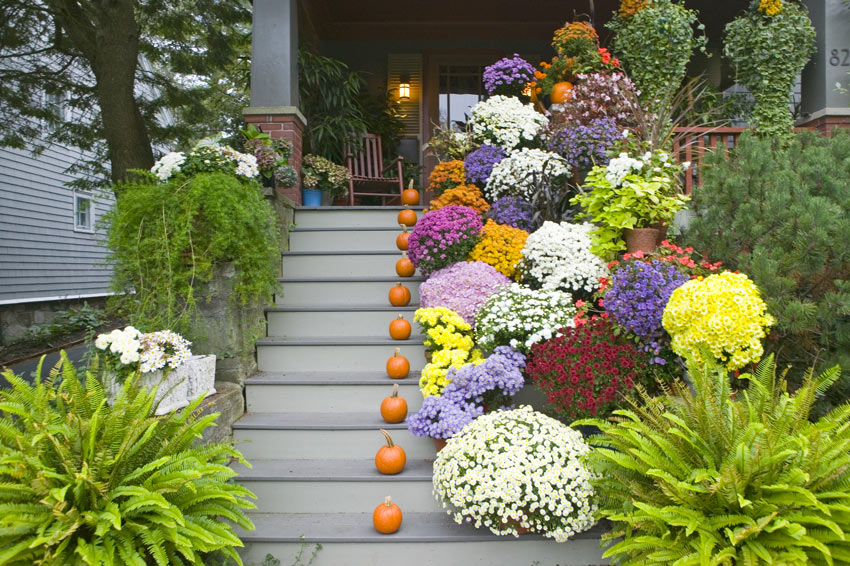 Decorare il portico in autunno.