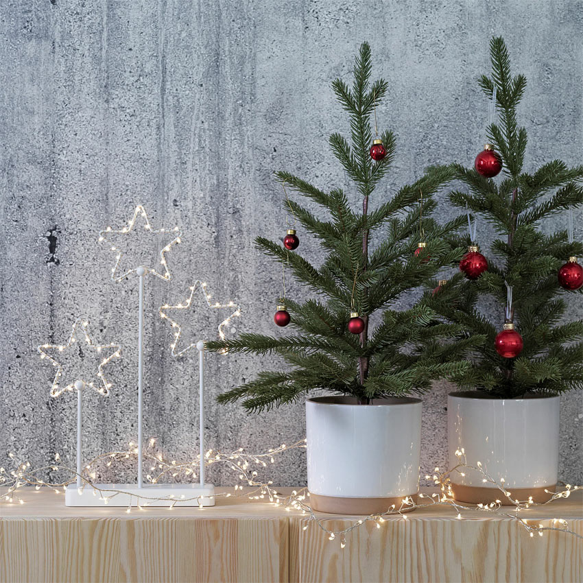 piante natalizie IKEA
