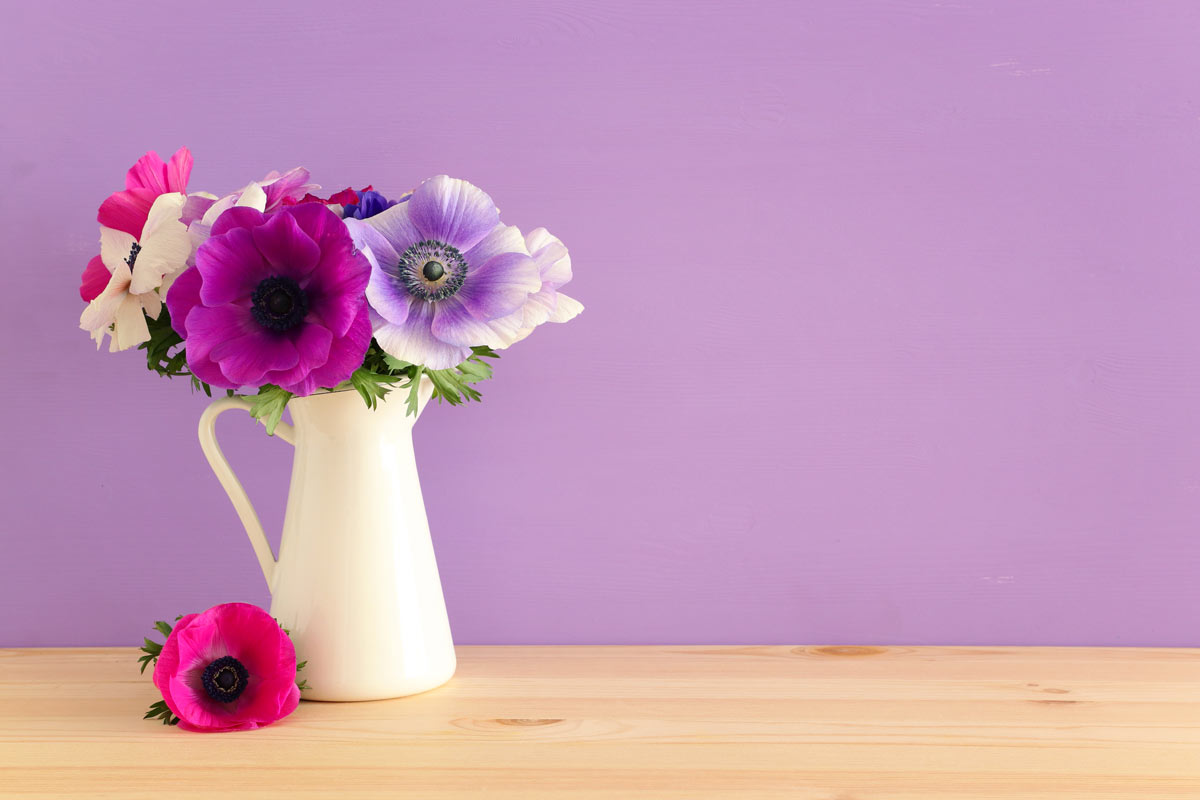 il segreto per un balcone coloratissimo: questa pianta facile da curare