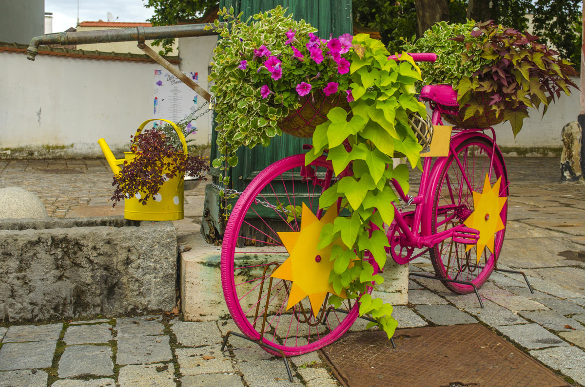 fioriera da giardino con vecchi bici