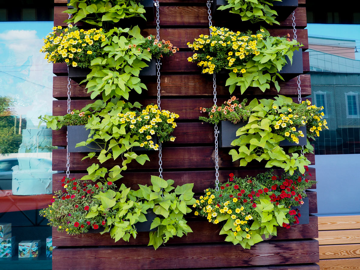 Fioriera verticale sul balcone.