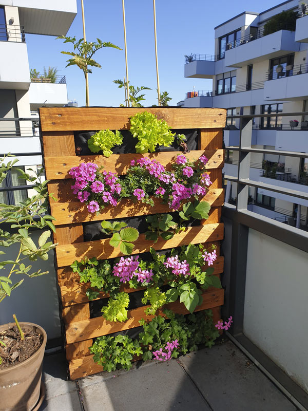 Fioriera verticale con pallet sul balcone.