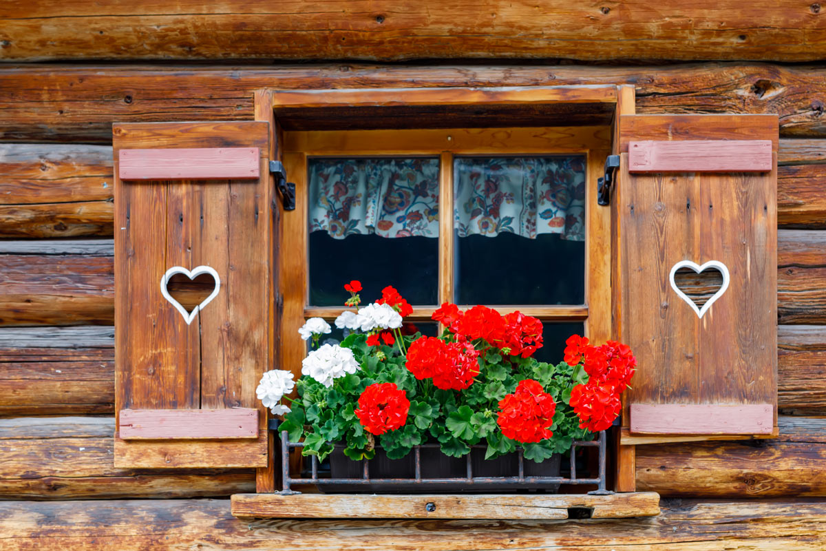 Decorare le finestre con piante e fiori.