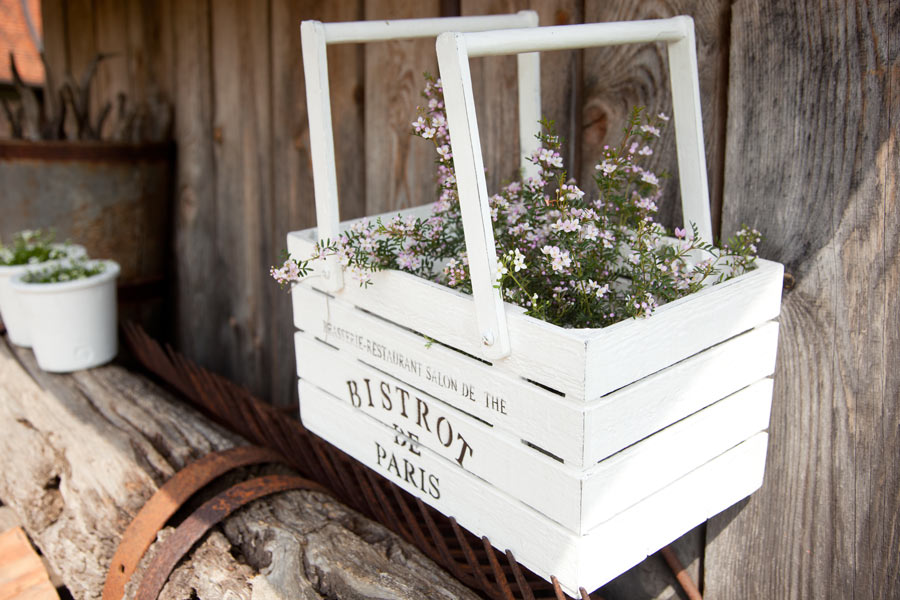 Cassette di legno con piante e fiori.