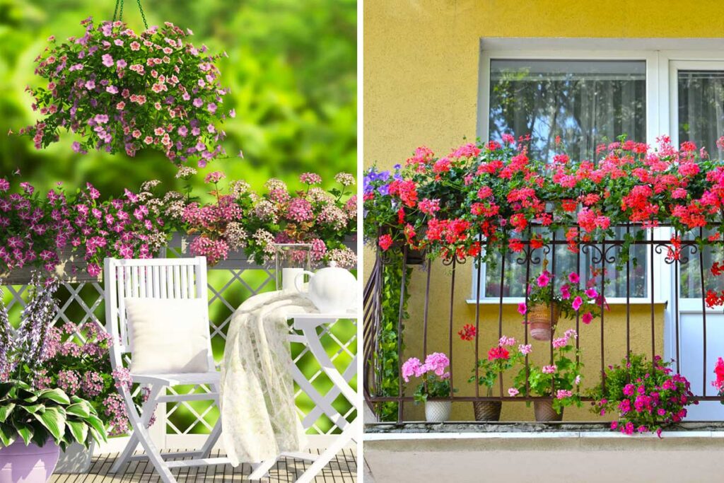 splendide idee per allestire un piccolo giardino fiorito sul balcone
