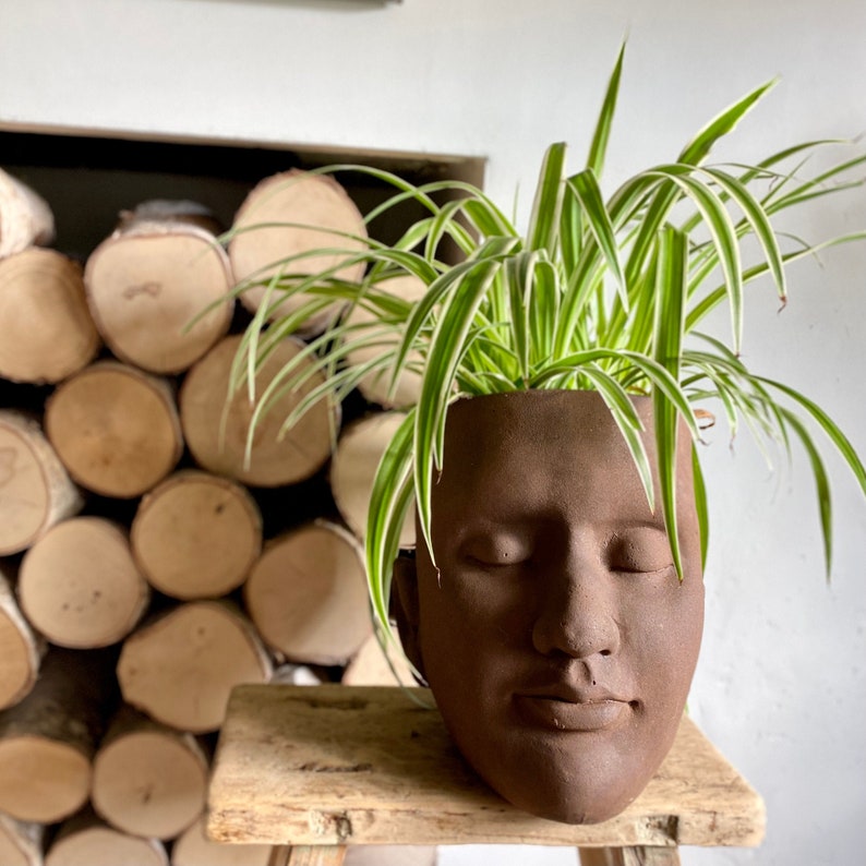 Piantatrice per piante per viso grande / busto testa image 0