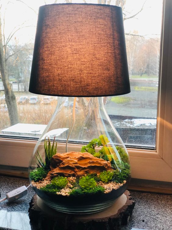 lampada con damigiana e terrarium